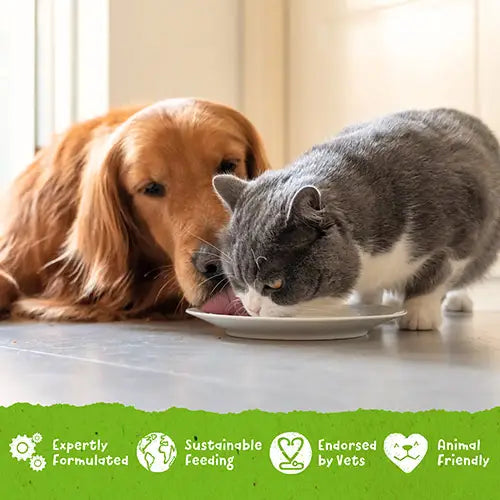 BENEVO Duo Alimento vegano para gatos y perros 354g
