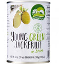 NATURES CHARM Jackfruit Natural 300g - Sin Gluten