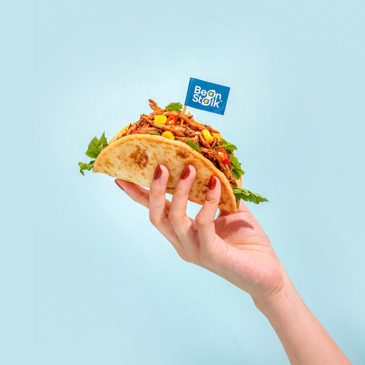 BEANSTALK Pulled Meat Vegano 200g