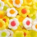 JAKE DAISIES caramelos de goma veganas 250u.